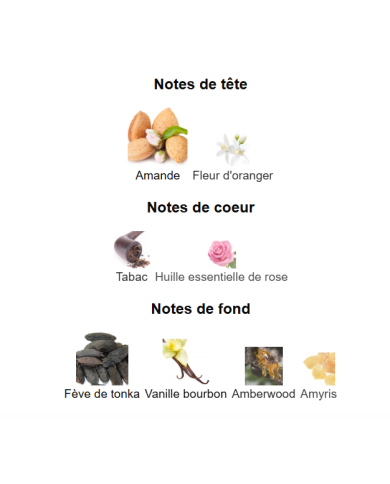 Velvet Tonka BDK Parfums – Extrait de Parfum Unisexe | Élégance orientale et douceur amandée