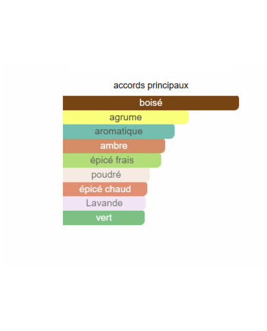 Bleu de Chanel Le Parfum – Extrait de Parfum Homme | Élégance intemporelle et puissance boisée