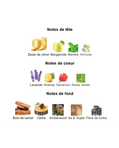 Bleu de Chanel Le Parfum – Extrait de Parfum Homme | Élégance intemporelle et puissance boisée