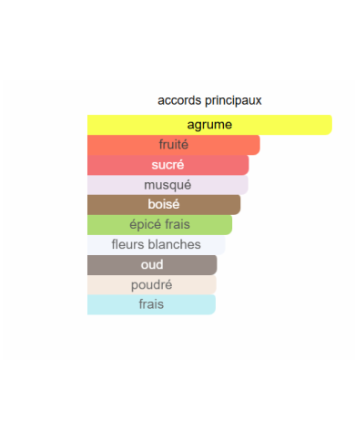 Blue Talisman Ex Nihilo – Extrait de Parfum Unisexe | Élégance lumineuse et modernité boisée