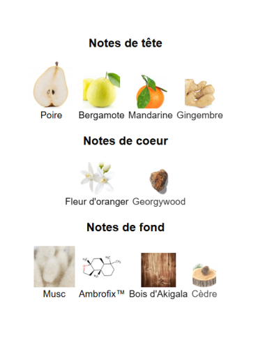 Blue Talisman Ex Nihilo – Extrait de Parfum Unisexe | Élégance lumineuse et modernité boisée