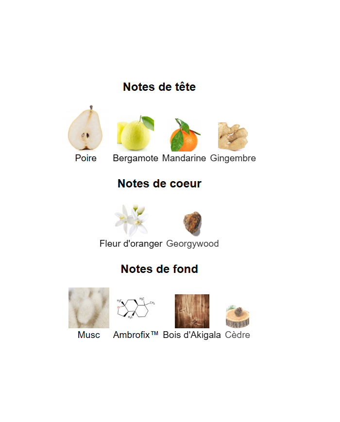 Blue Talisman Ex Nihilo – Extrait de Parfum Unisexe | Élégance lumineuse et modernité boisée