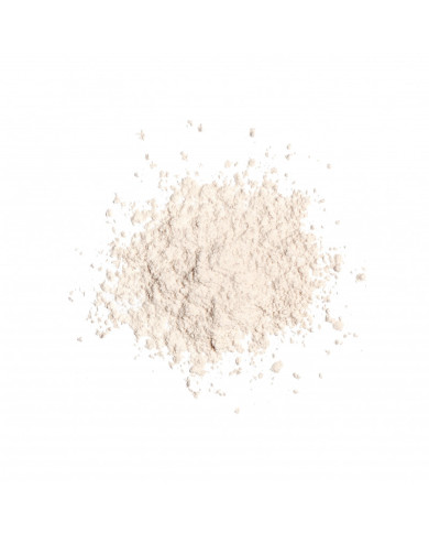 REVOLUTION Poudre Translucent – Matifiante & tenue longue durée