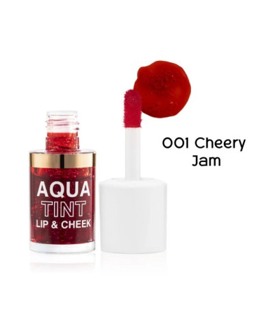 TOPFACE Aqua Tint Lip & Chic 01 – Couleur & Hydratation