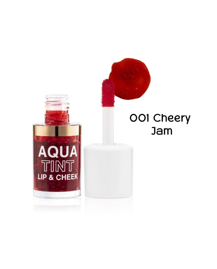 TOPFACE Aqua Tint Lip & Chic 01 – Couleur & Hydratation