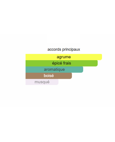 Light Blue Homme – Dolce & Gabbana | Parfum Homme Frais