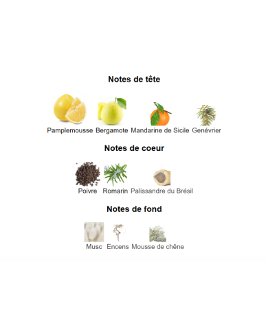 Light Blue Homme – Dolce & Gabbana | Parfum Homme Frais