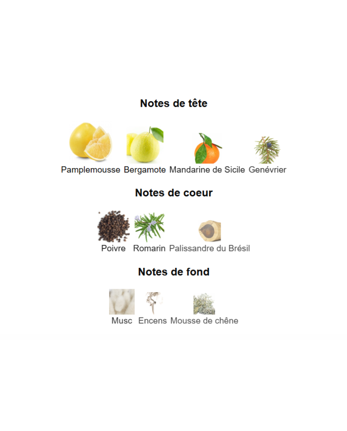 Light Blue Homme – Dolce & Gabbana | Parfum Homme Frais