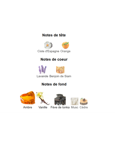 Grand Soir – Maison Francis Kurkdjian | Parfum Ambre & Vanille