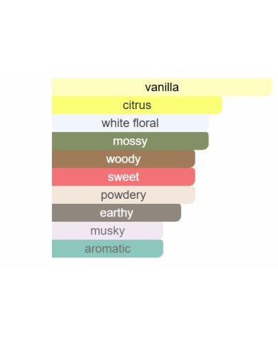 Valencia Vice Versa EDP 100 ML – Parfum Femme Floral Fruité | Milestone Perfumes