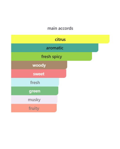 Parfum Armaf Odyssey Mega 100ML – Eau de Parfum Homme Tunisie