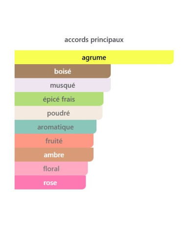 Armaf Club de Nuit Sillage 100 ml – Parfum Frais & Musqué | Inspiration Silver Mountain Water