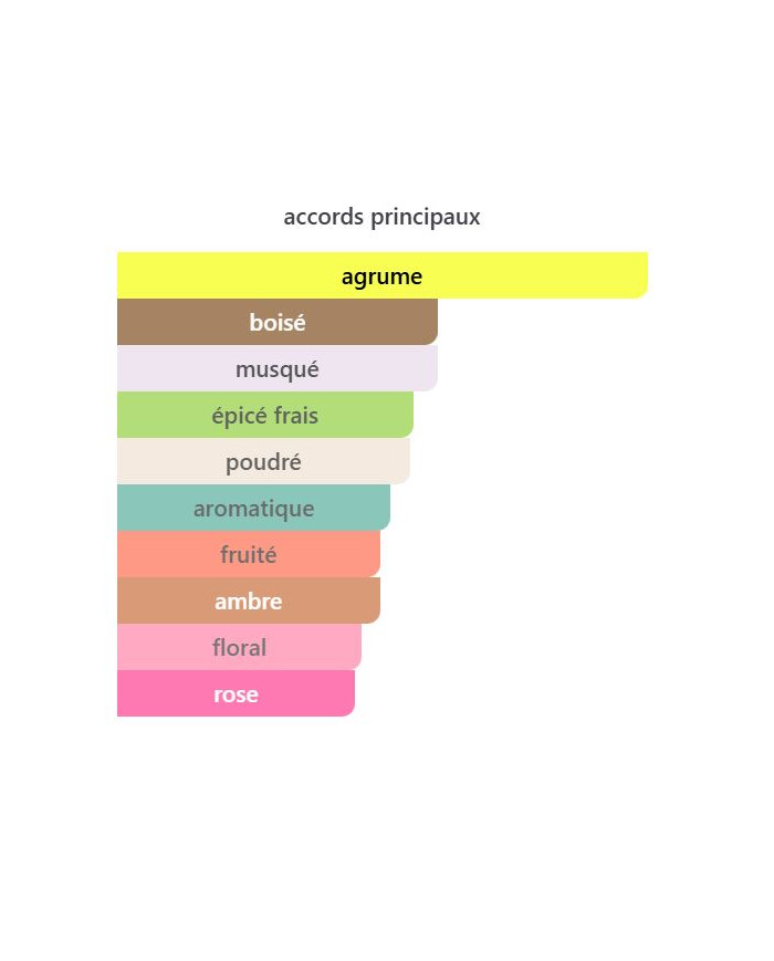 Armaf Club de Nuit Sillage 100 ml – Parfum Frais & Musqué | Inspiration Silver Mountain Water