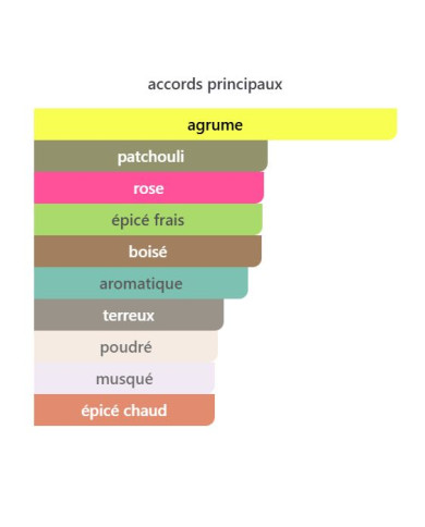 Armaf Club de Nuit Woman 100 ml – Parfum Femme Floral & Fruité | Inspiration Coco Mademoiselle