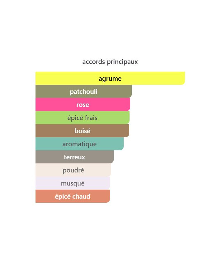 Armaf Club de Nuit Woman 100 ml – Parfum Femme Floral & Fruité | Inspiration Coco Mademoiselle