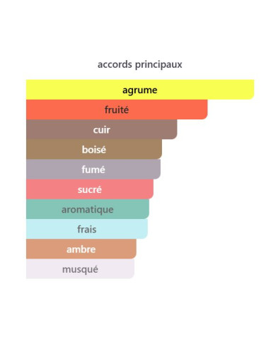 Armaf Club de Nuit Intense Man Parfum 105 ml – Parfum Homme Boisé & Fumé | Inspiration Aventus