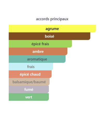 Armaf Club de Nuit Blue Iconic 105 ml – Parfum Homme Frais & Boisé | Inspiration Bleu de Chanel