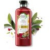 Shampoing Herbal Essences Arabica Coffee Fruit 400ml – Volume & Énergie
