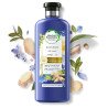 Après-shampoing Herbal Essences Micellar Water & Blue Ginger 400ml