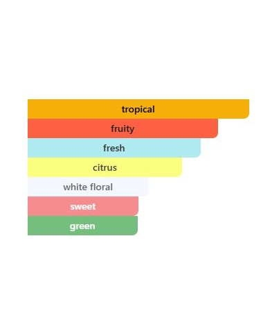 Tubbees Passion Fruit Mojito 50ml EDP | Parfum Fruité Frais & Floral – Cherry Beauty