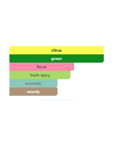 Tubbees Matcha Made In Heaven 50ml EDP | Parfum Matcha Bergamote & Chocolat – Cherry Beauty