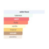 CHERRY BEAUTY My Way Vanilla Sunny Extrait de Parfum | Inspiration Parfum | 30ml, 50ml & 100ml