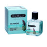 Morfose Quinoa & Hemp Hair Perfume 100ml | Cherry Beauty