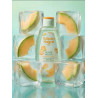 Tulipán Negro Body Oil Sugar Melon 200ml | Huile Corps | Cherry Beauty Tunisie
