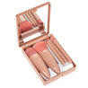 Boîtes 5 Pinceaux Maquillage - Mini Boîte Portable Pinceaux Rose