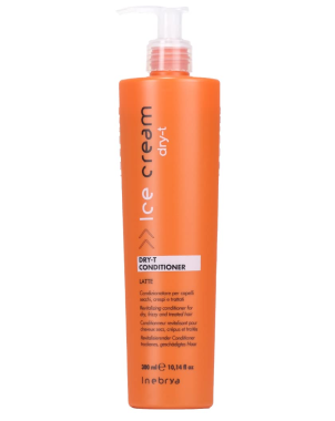 Conditionner Dry T 300ml - Inebrya Ice Cream - Cheveux Secs et Très Secs