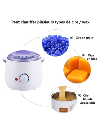 Pro Wax 101 - Chauffe Cire Wax pour Epilation - 800g