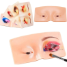 Mannequin Yeux - Visage en Silicone 3D Formation Maquillage Professionnel