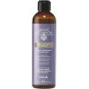 Nook - Ritual Blonde Shampoing 250 ml - Anti Jaunissement