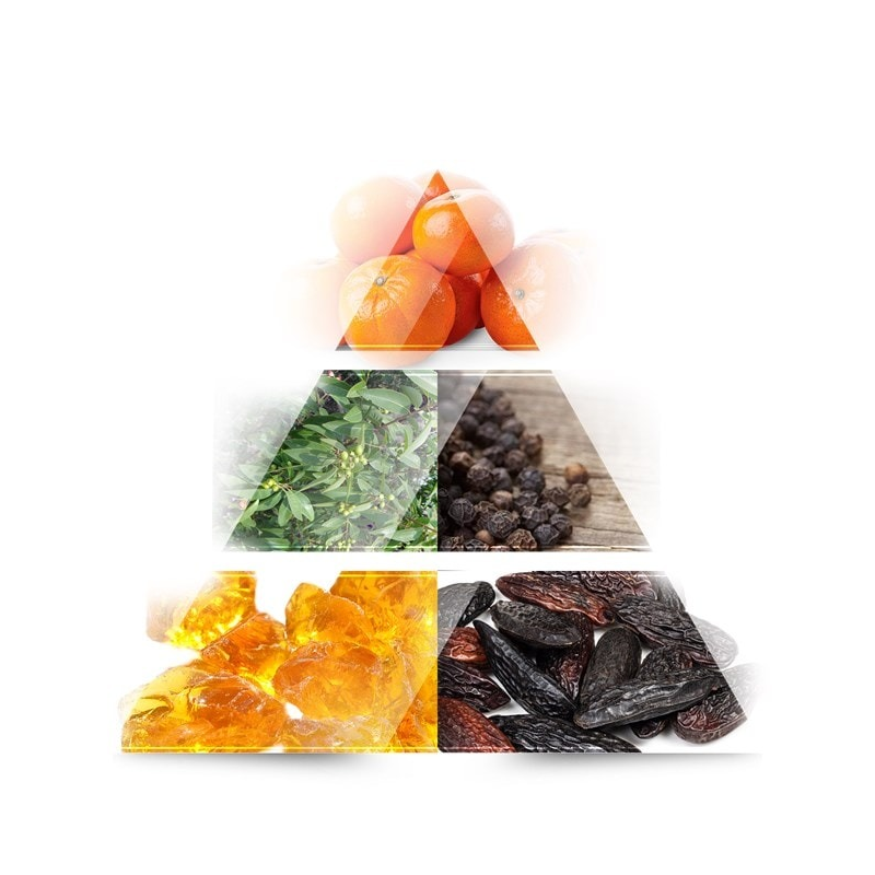 La Rive - Absolute Sport - Coffret Eau de Toilette 100ml + Gel Douche 100ml