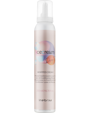 Mousse Conditionner Dry T 200ml - Inebrya Ice Cream