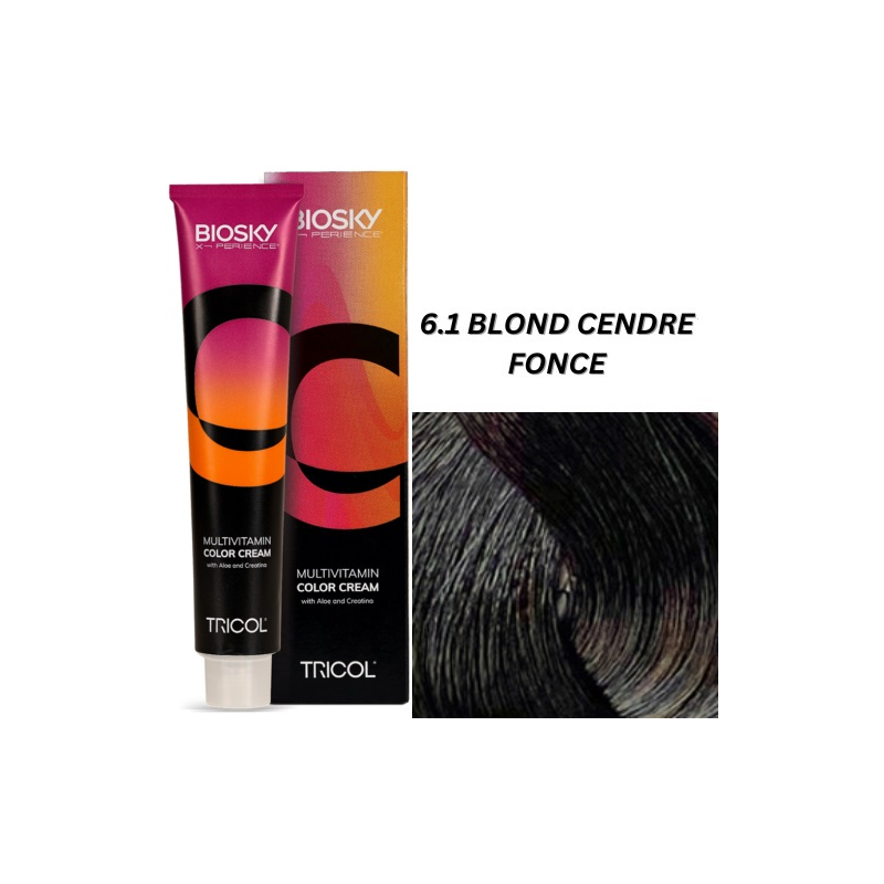 X-Perience Color Cream ° 6.1 - Blond Cendré Foncé - Coloration Cheveux