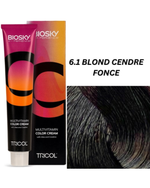 X-Perience Color Cream ° 6.1 - Blond Cendré Foncé - Coloration Cheveux