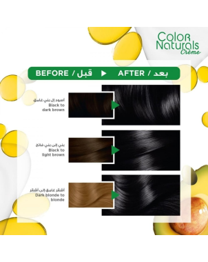 Garnier Color Naturals ° 1 - Teinture Cheveux Noir