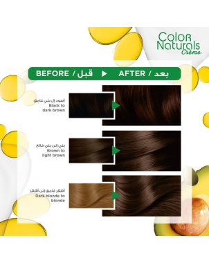 Garnier Color Naturals ° 4 - Teinture Cheveux Châtain