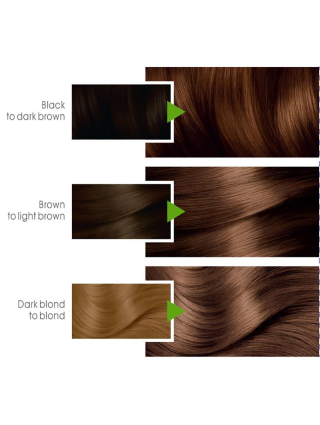 Garnier Color Naturals ° 6.34 Chocolat - Teinture Cheveux