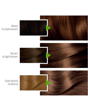 Garnier Color Naturals ° 6.34 Chocolat - Teinture Cheveux