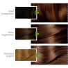 Garnier Color Naturals ° 6.34 Chocolat - Teinture Cheveux