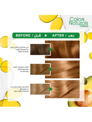 Garnier Color Naturals ° 7.3 Blond Noisette - Teinture Cheveux