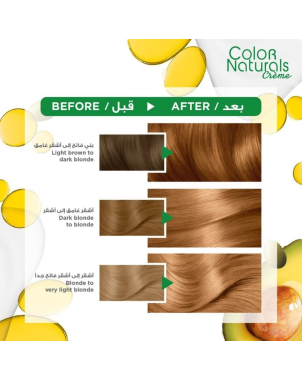 Garnier Color Naturals ° 7.3 Blond Noisette - Teinture Cheveux