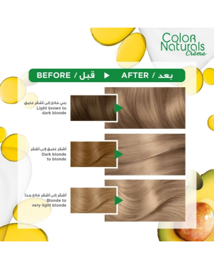 Garnier Color Naturals ° 8.1 Blond Clair Cendré - Teinture Cheveux