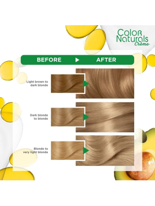 Garnier Color Naturals ° 9.1 Blond Cendré Très Très Clair - Teinture Cheveux