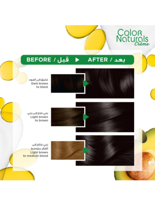 Garnier Color Naturals ° 2 Noir Profond Lumineux - Teinture Cheveux