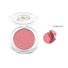 Powder Blush 17 Desire Pink - Golden Rose