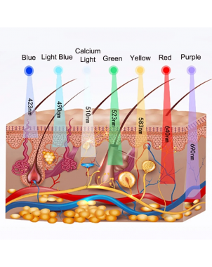 Machine LED Anti Age Skin Réjuvénation Machine Soins Visage Professionnel Luminothérapie et Vapeur Nano