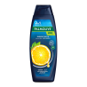 Palmolive Shampoing Homme Orange 380ml Energie Fraîcheur pour Tous Types de Cheveux